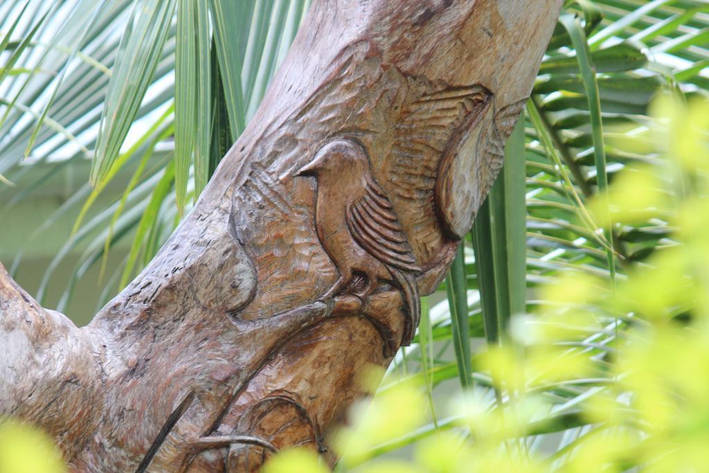 Villa Veuve Casadani Hotel La Digue Eksteriør billede