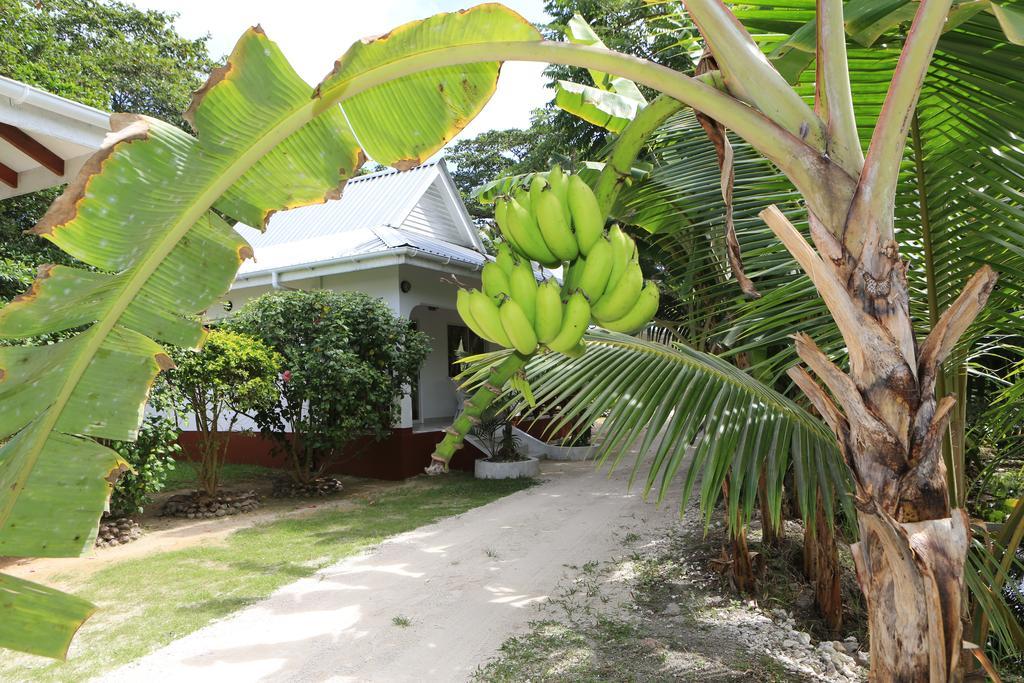Villa Veuve Casadani Hotel La Digue Eksteriør billede